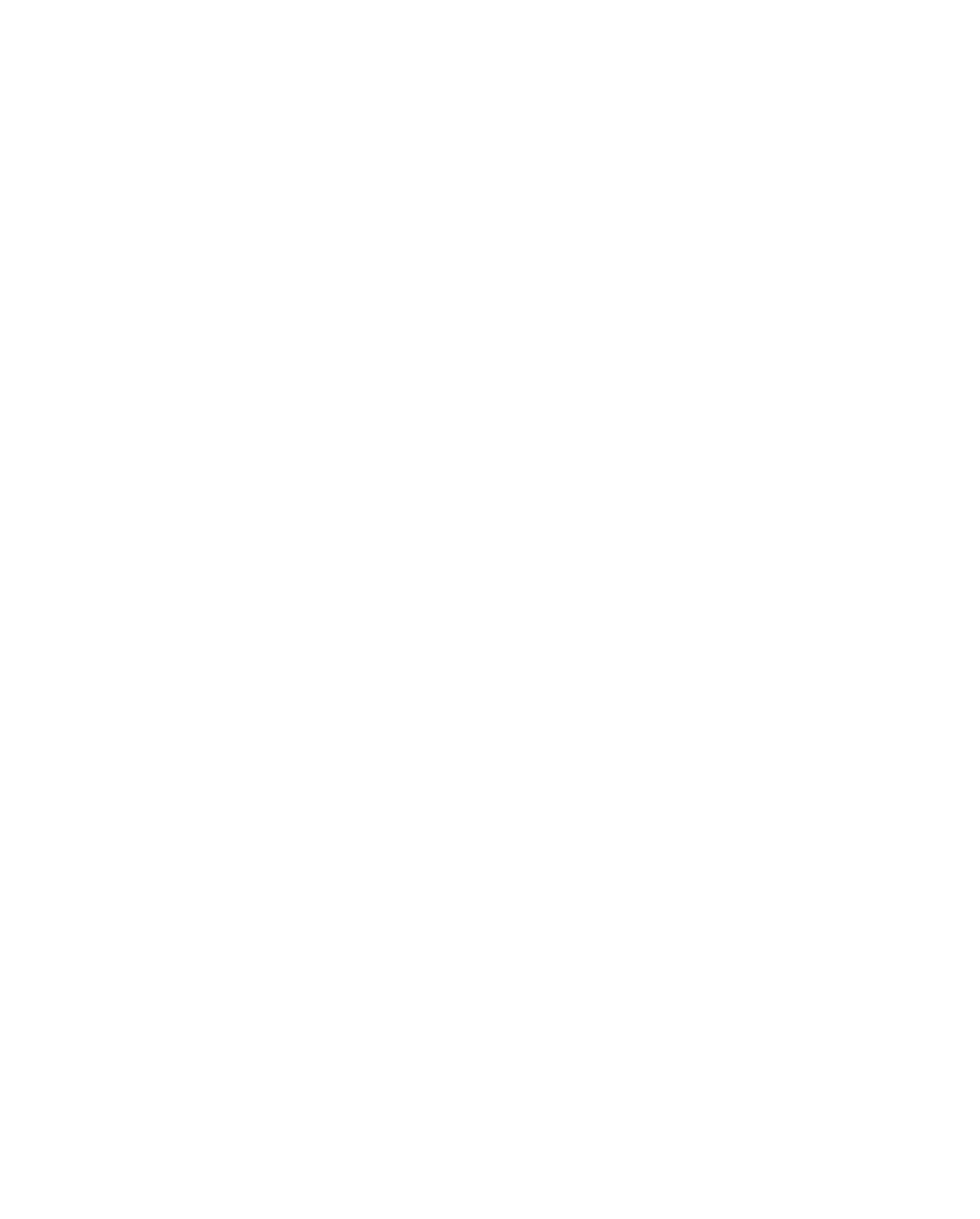 Meteor Nofer PV-Reinigung